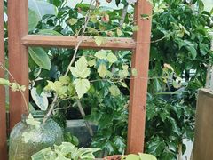 -北马山庄植趣咖啡