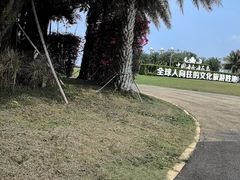 -海花岛旅游度假区