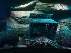 -沈阳海洋探索中心