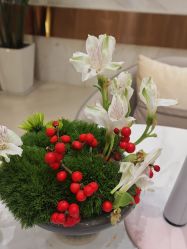 -贵阳美莱医疗美容整形医院