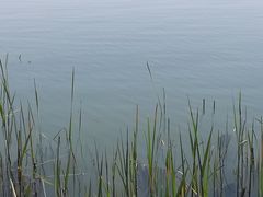 -太湖湖滨国家湿地公园-停车场