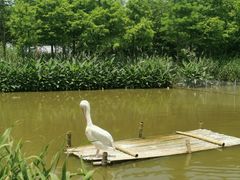 -宁波杭州湾国家湿地公园