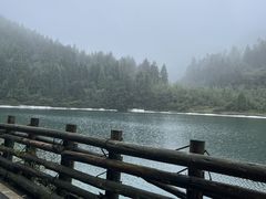 -武陵山森林公园