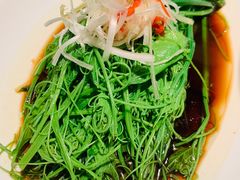 -初蓉丨遇见新川菜(亲贤街荣耀店)