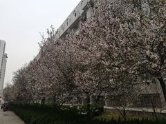 -山东师范大学(千佛山校区)