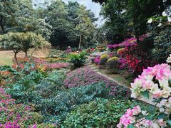 -桃花涧