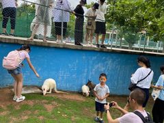 -西霞口神雕山野生动物世界