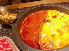 太极鸳鸯番茄锅-蜀大侠火锅(四川北路店)