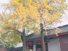 -金堂县云顶石城风景区