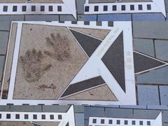 -星光大道