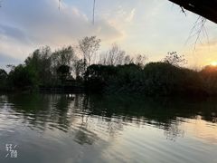 -溱湖国家湿地公园