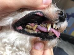 -MOLLY'S萌宠生活馆