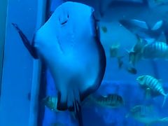 -太平洋海底世界