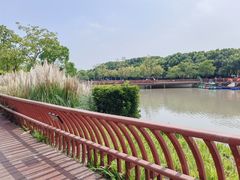 -嘉北郊野公园