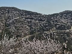 -香山公园