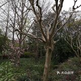 延春公园 现在已经可以进去啦，但是有时间限制哦(´