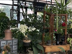 -北马山庄植趣咖啡