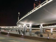 -演武大桥观景平台