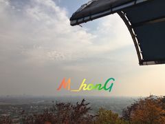 -上海佘山国家森林公园西佘山园