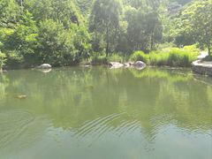 -灵溪风景区