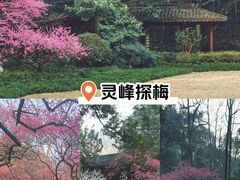 -杭州植物园