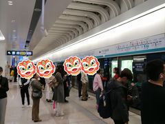 -望京西(地铁站)