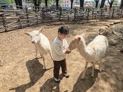 -北戴河集发农业梦想王国