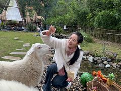 -HERRE·FARM 赫尔露营农场·团建聚会包场