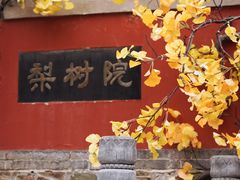 -潭柘寺景区
