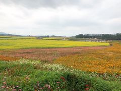-光明小镇欢乐田园