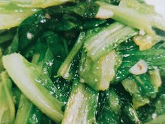 -煲来饱去冷水鱼