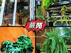 -国家植物园南园