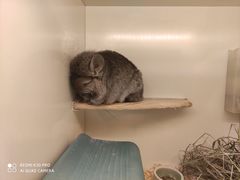 -龙猫仔乐园(惠福东路店)