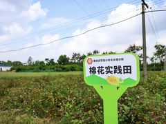 -菊园百果园