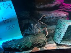 -沈阳海洋探索中心