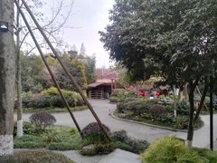 -青城道汤池