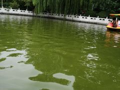 -丰台花园