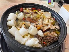 -蘑统田下·野生菌火锅