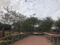 -立新湖公园