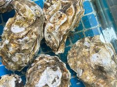 -海之鲜大排档(东山海鲜金銮湾店)
