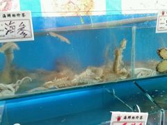 android_upload_pic-海滨假日渔家海鲜