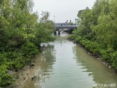 -深圳湾公园(南山区)