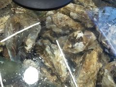 -前王院•巧克力海鲜市集餐厅(万平口店)