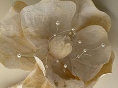 -PARFUM FLORAL花境法餐(南京首店)