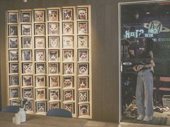 -CAT’S MEWSTAR CAFE·喵星球猫屋(晴湾咖啡店)