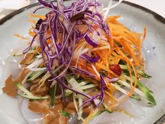 麻酱大拉皮-大鸭梨烤鸭(左家庄店)
