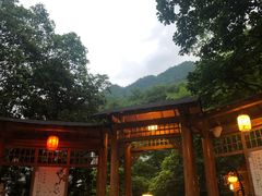 -黄山温泉国际旅游度假区