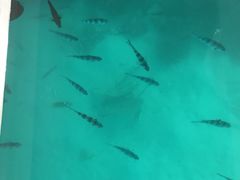 景点-蓝湾海滩