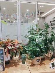 -dōTERRA多特瑞精油生活馆