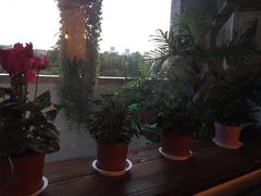 -Together·泰式按摩精油SPA(天山店)